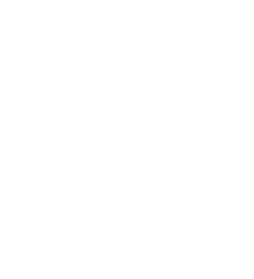 Animal Surf